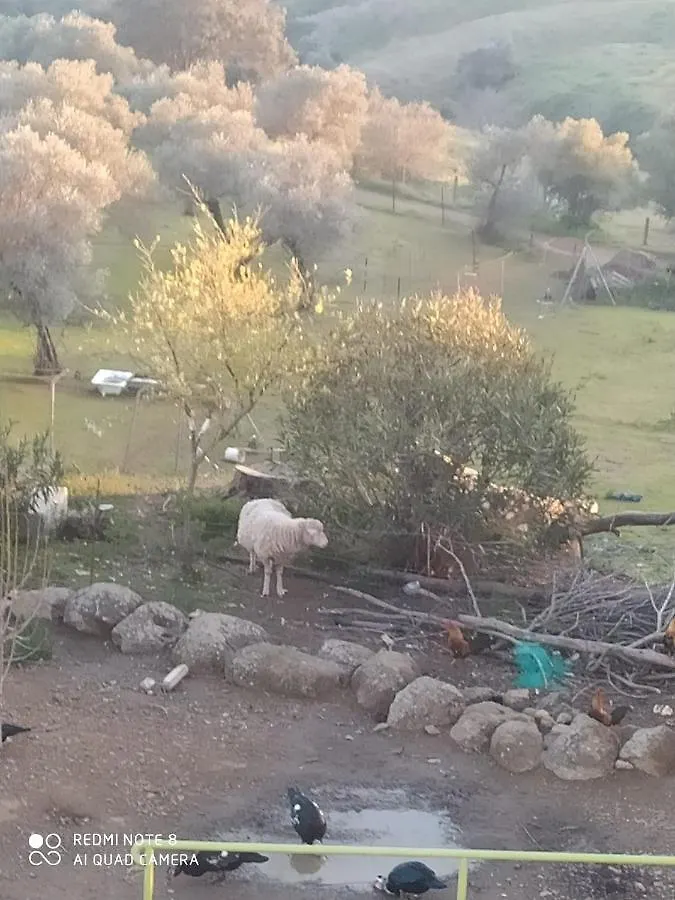 אל פדרוסו Hostal Finca Mirador 2*, אל פדרוסו