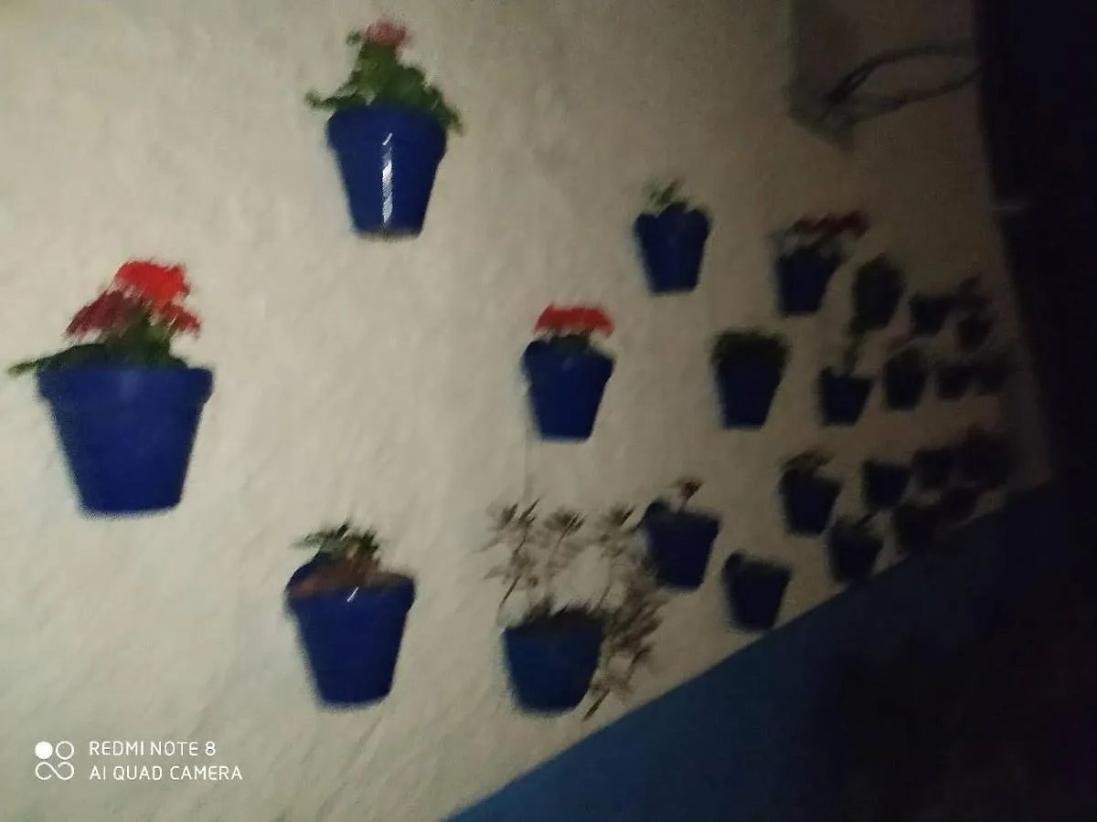 אל פדרוסו Hostal Finca Mirador 2*, אל פדרוסו ספרד