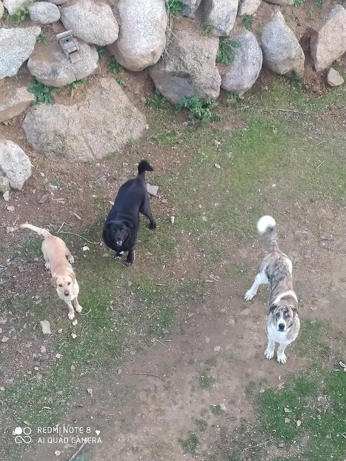 אל פדרוסו Hostal Finca Mirador